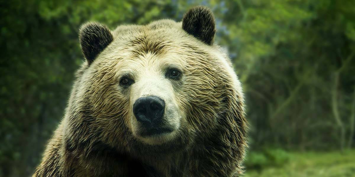 Home Furniture2 Imageslider Background3