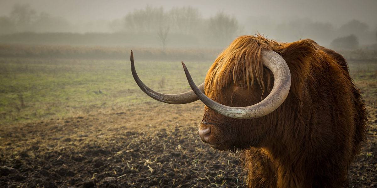 Home Furniture2 Imageslider Background1